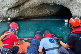 Karaburun'dan Akdeniz Fokları İçin Koruma Çağrısı
