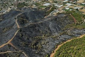 Fethiye'de Orman Yangını Kontrol Altına Alındı