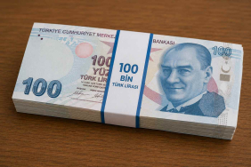 turk_lirasi_100kb
