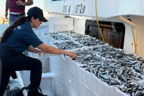 İzmir'de Yasa Dışı Avcılıkla Mücadele: 2,2 Ton Hamsi Ele Geçirildi