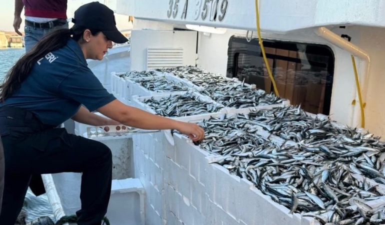 İzmir’de Yasa Dışı Avcılıkla Mücadele: 2,2 Ton Hamsi Ele Geçirildi