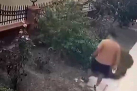 Bayraklı'da anne kediye tekme atan kişi yakalandı