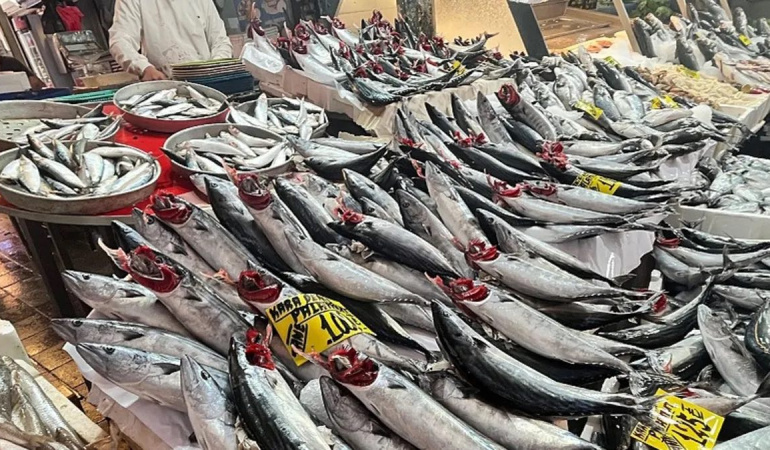 İzmir’de palamut bolluğu balık tezgahlarını canlandırdı