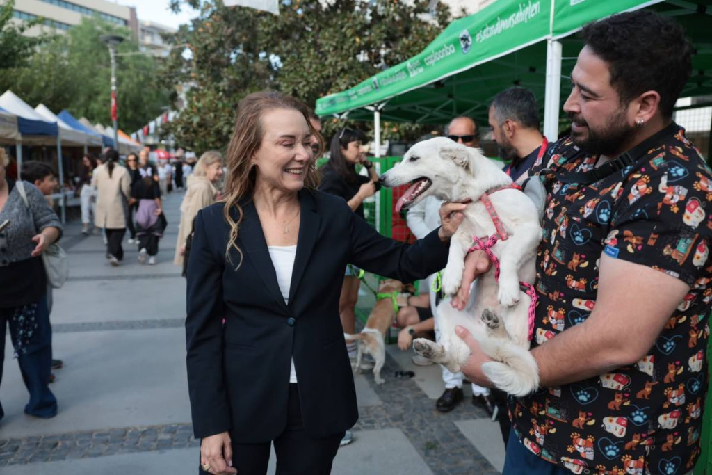 7. Patilerin Festivali'nde 13 kedi ve köpek sahiplendirildi
