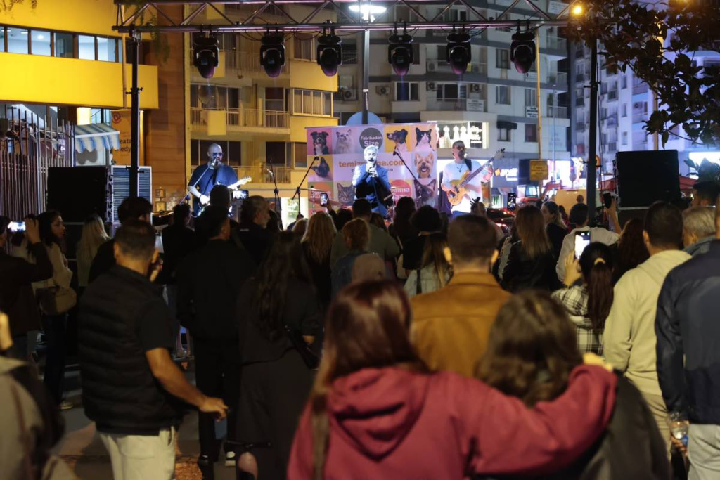 7. Patilerin Festivali'nde 13 kedi ve köpek sahiplendirildi