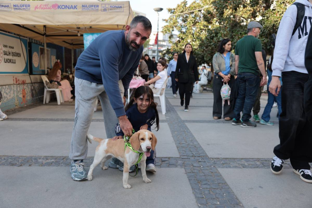 7. Patilerin Festivali'nde 13 kedi ve köpek sahiplendirildi
