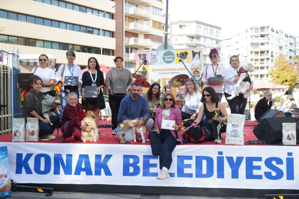 7. Patilerin Festivali'nde 13 kedi ve köpek sahiplendirildi