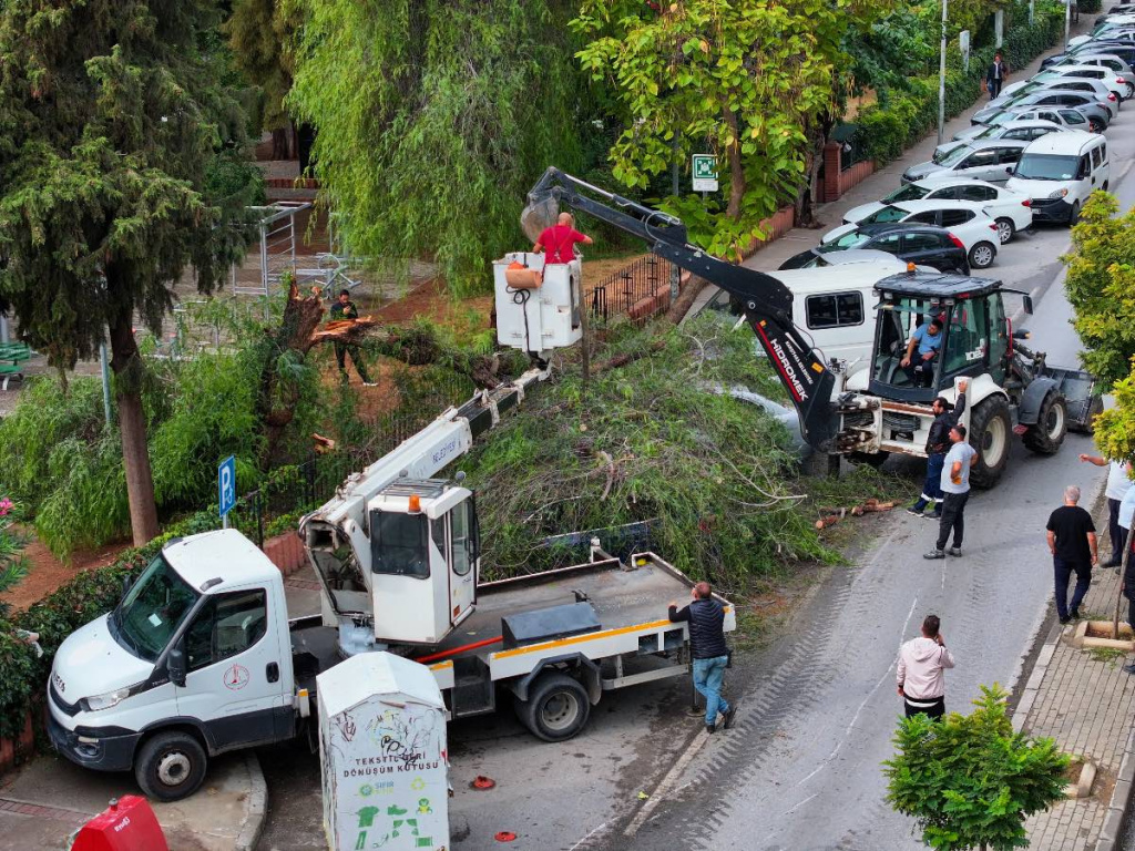 Karşıyaka'da rüzgar nedeniyle 4 araca zarar verildi