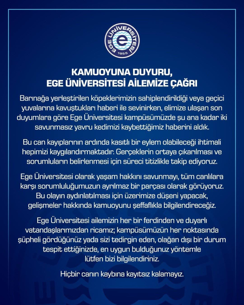 Ege Üniversitesi'nde iki yavru kedi öldü, yönetim süreci takip ediyor