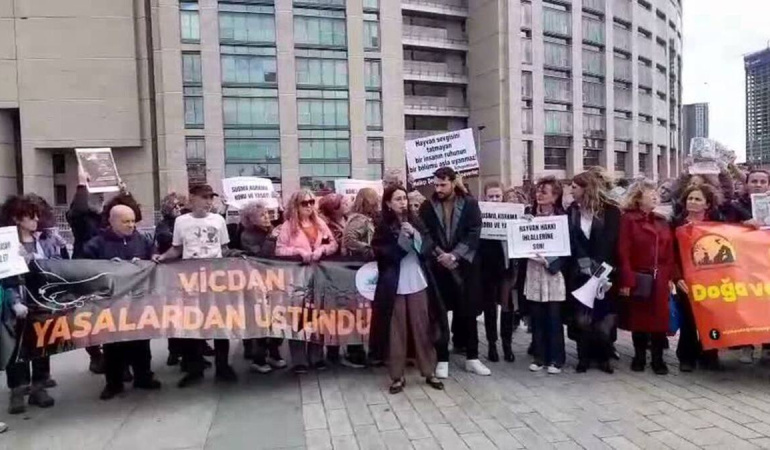 Alsancak’ta Sokak Hayvanları İçin Eylem Düzenlenecek