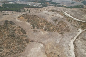 Buca ve Gaziemir'deki orman yangınlarının ardından yenileme çalışmaları başladı