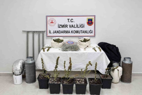 Karabağlar'da kenevir yetiştiren kişi yakalandı