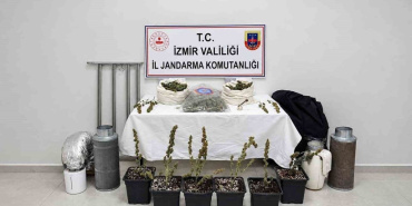 Karabağlar'da kenevir yetiştiren kişi yakalandı