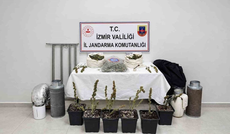 Karabağlar’da kenevir yetiştiren kişi yakalandı