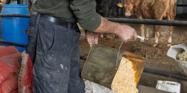 İzmir'de yangın mağduru üreticilere 30 ton yem yardımı