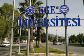 Ege Üniversitesi'nde kedi zehirlenmesi iddiaları yalanlandı