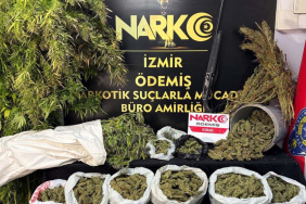 Ödemiş'te uyuşturucu operasyonunda büyük miktarda esrar ele geçirildi