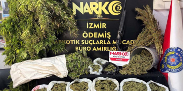 Ödemiş'te uyuşturucu operasyonunda büyük miktarda esrar ele geçirildi