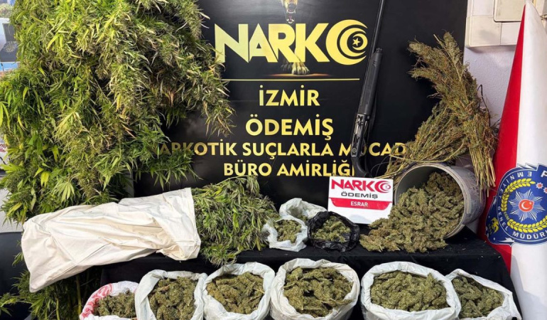 Ödemiş’te uyuşturucu operasyonunda büyük miktarda esrar ele geçirildi