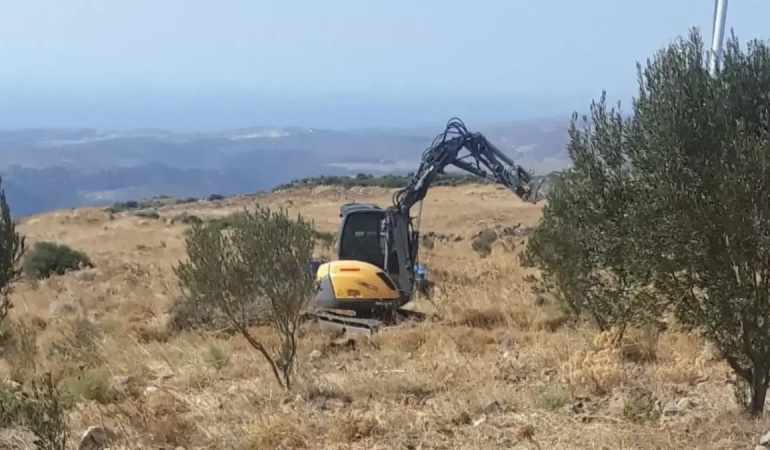 Karaburun’da zeytin ağaçlarının sökülmesi davasında yöneticilere hapis cezası