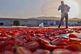 Ege Terra Gıda Tarım'ın konkordato süresi İzmir'de uzatıldı
