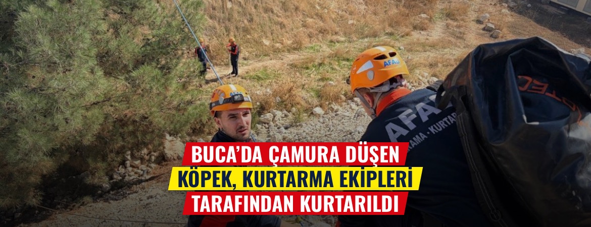 Buca’da çamura düşen köpek, kurtarma ekipleri tarafından kurtarıldı