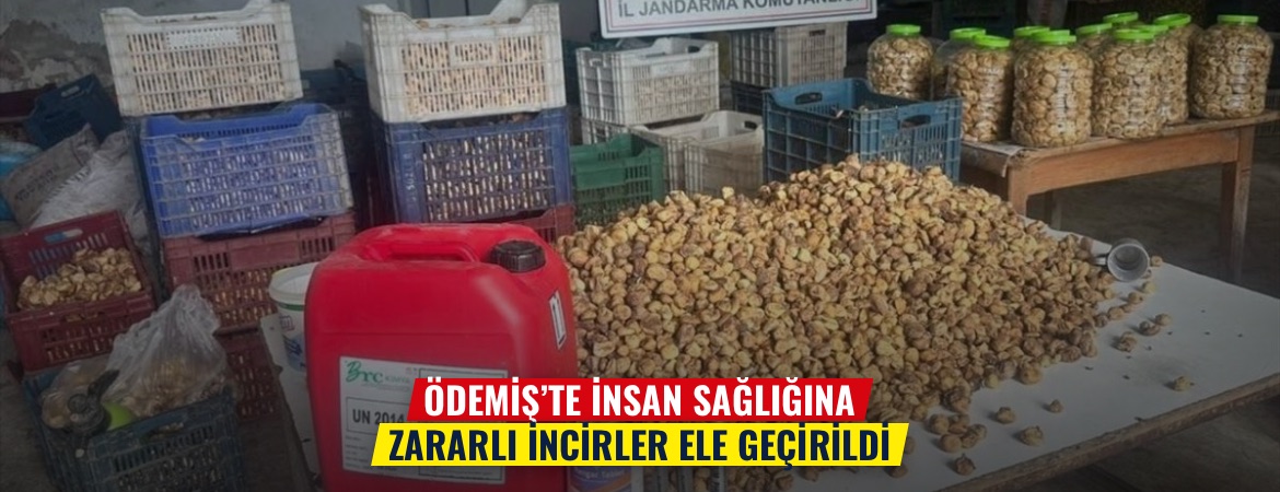 Ödemiş’te insan sağlığına zararlı incirler ele geçirildi
